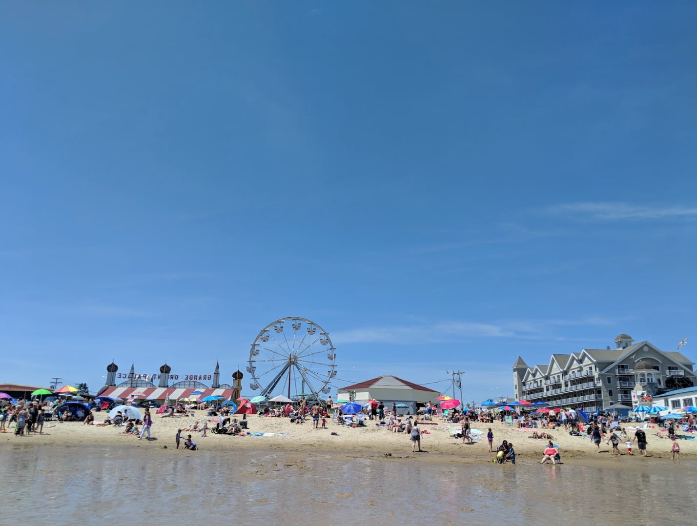 2023 July 10: A little White Lie - What’s the Big Deal?