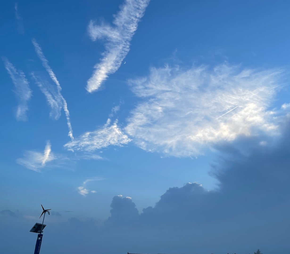 2023 July 17: Seeing Identification and Selfing As We Practice Truthfulness