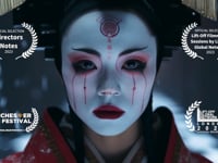 Video Image