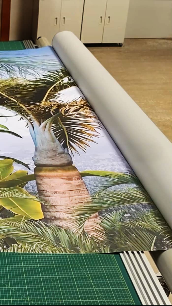 Preview 41