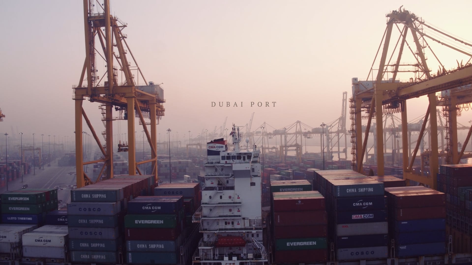 DPWorld Directors Cut