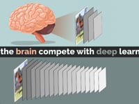 Newswise:Video Embedded how-can-the-brain-compete-with-ai