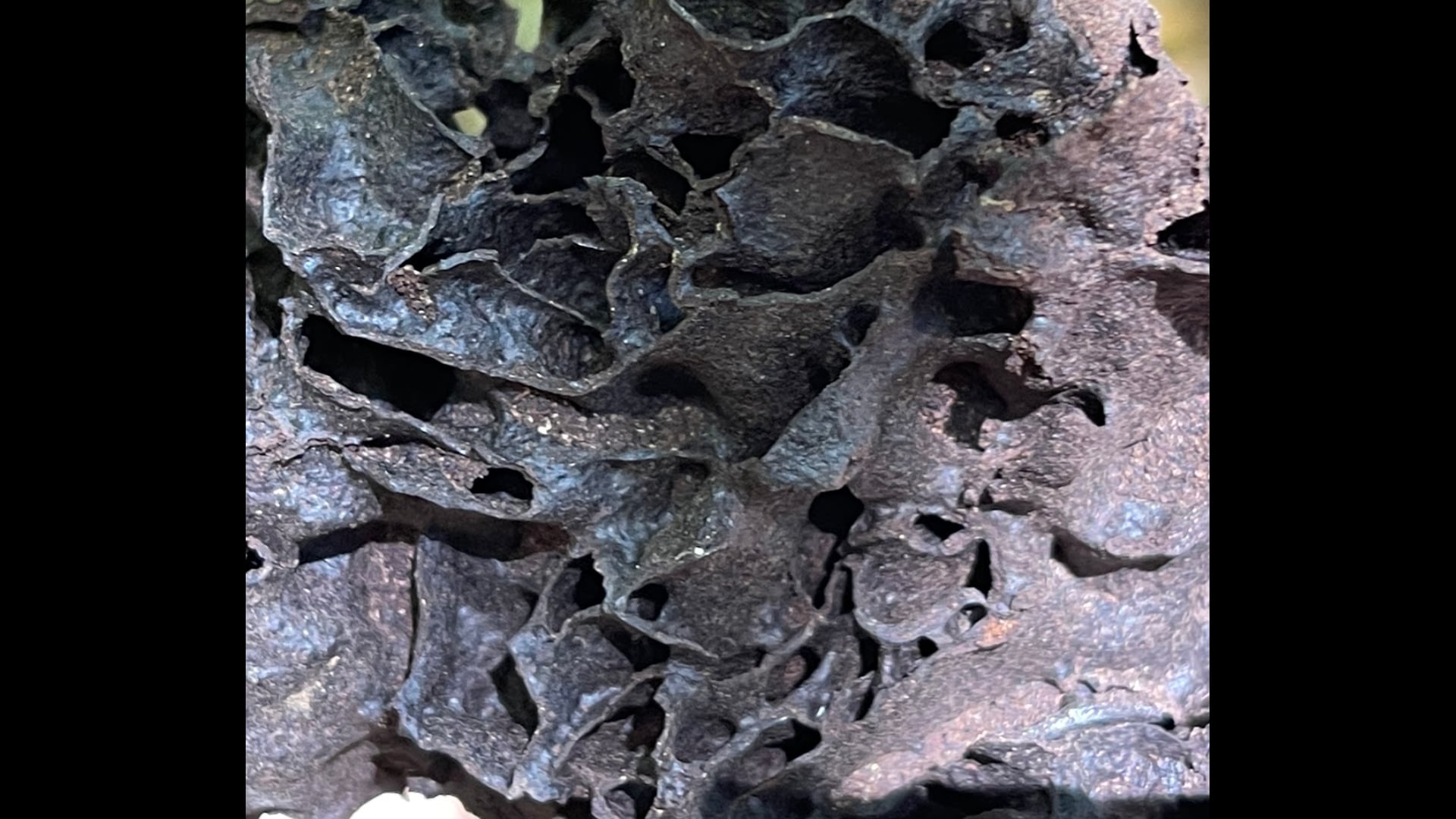 2023 August 07: The Parami of Resolve