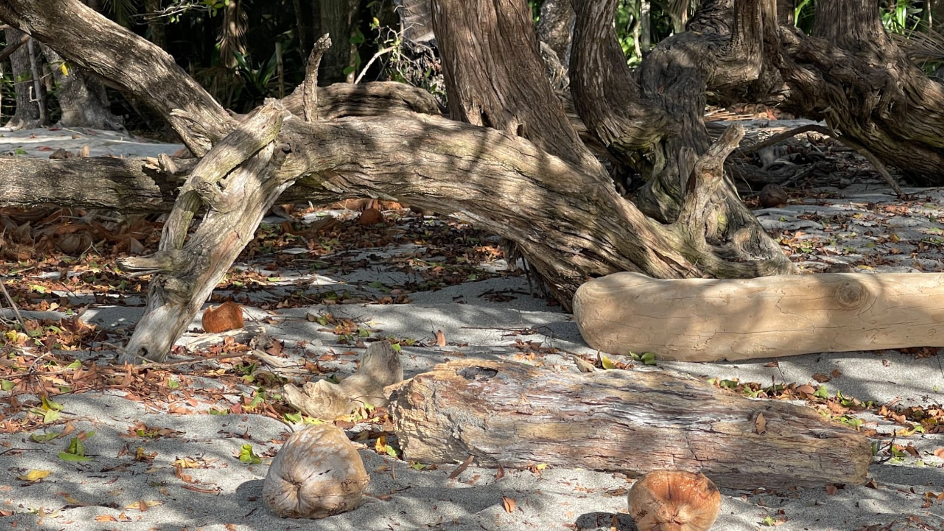 2023 August 09: Resolve is a Matter of the Heart & Mind