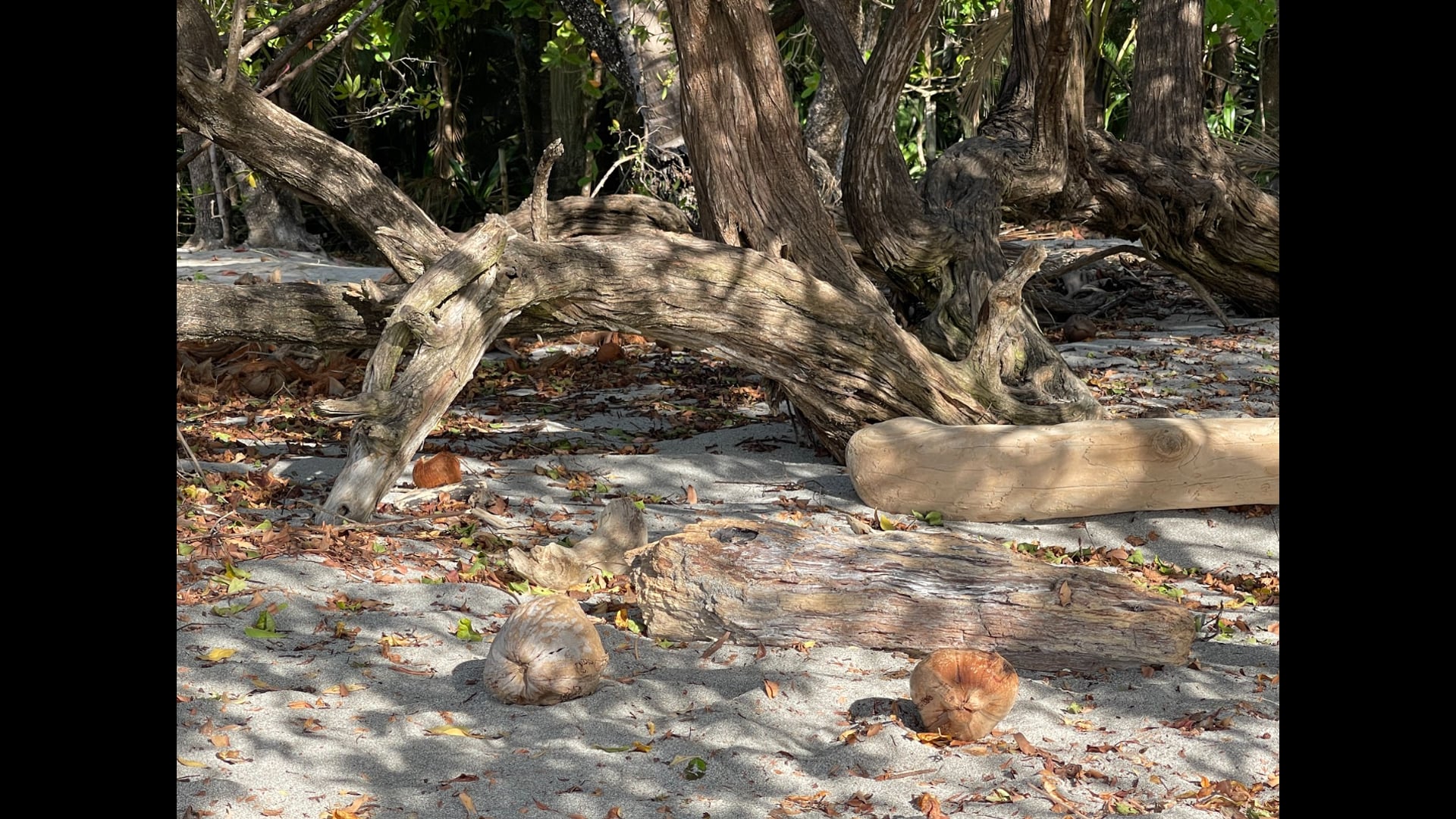 2023 August 09: Resolve is a Matter of the Heart & Mind