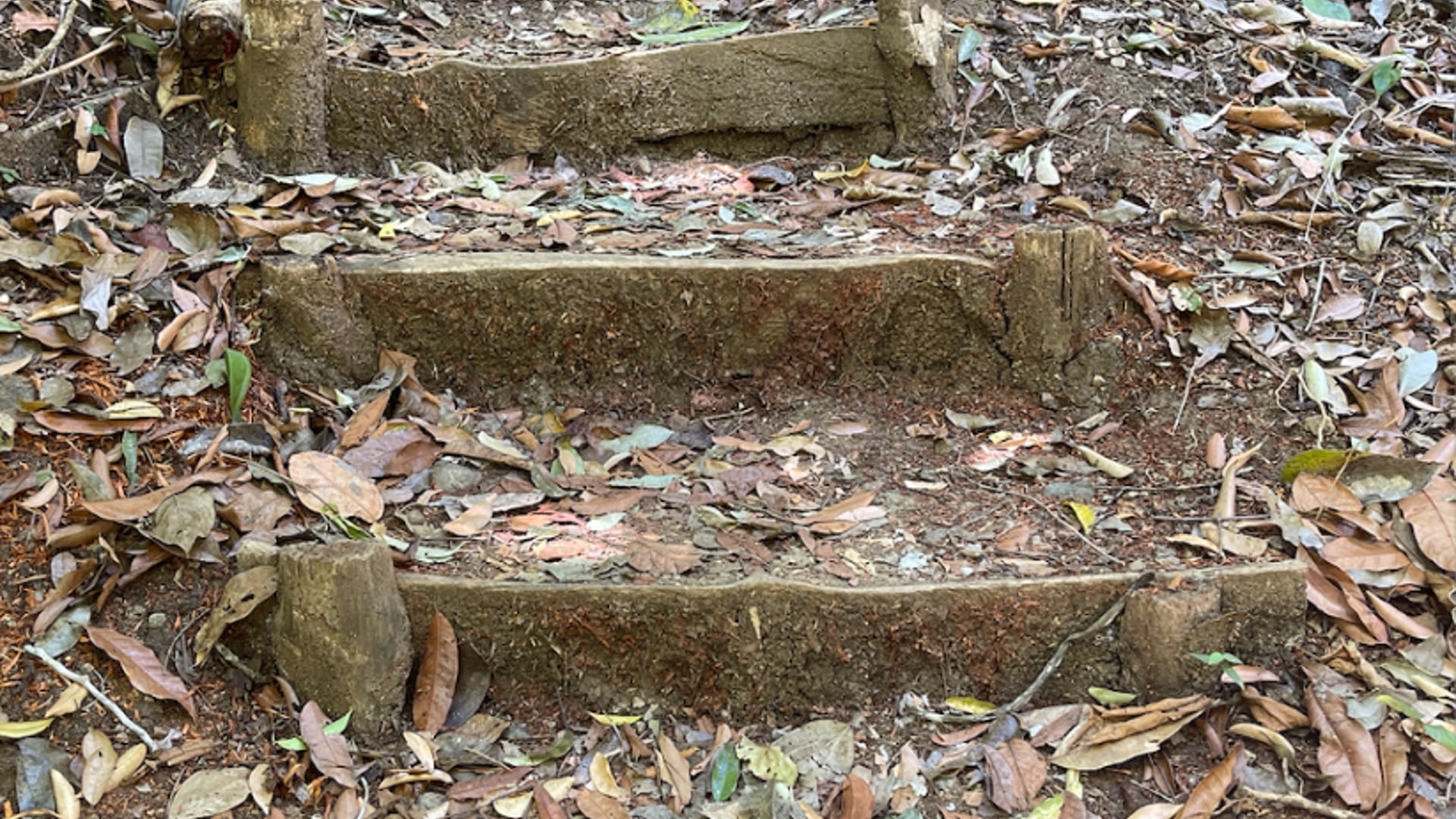 2023 August 16: Resolve to Watch Over Your Wellbeing