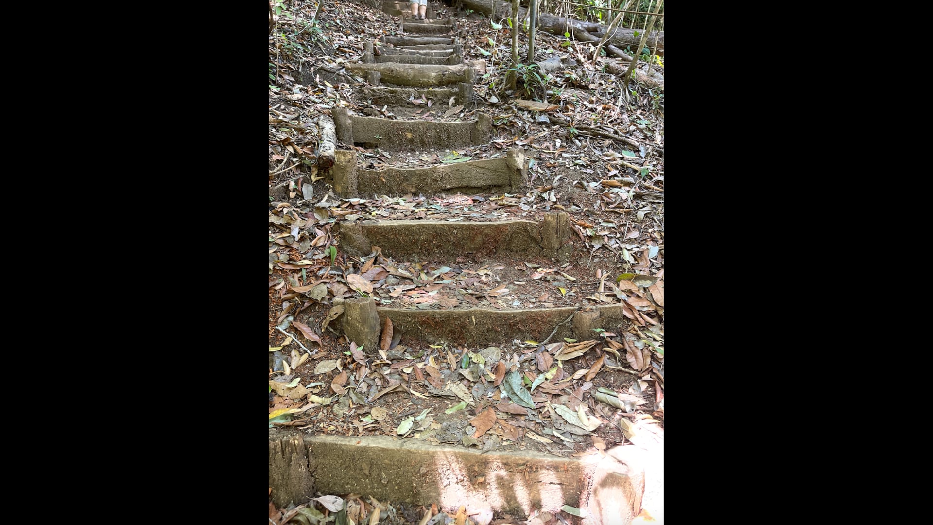 2023 August 16: Resolve to Watch Over Your Wellbeing