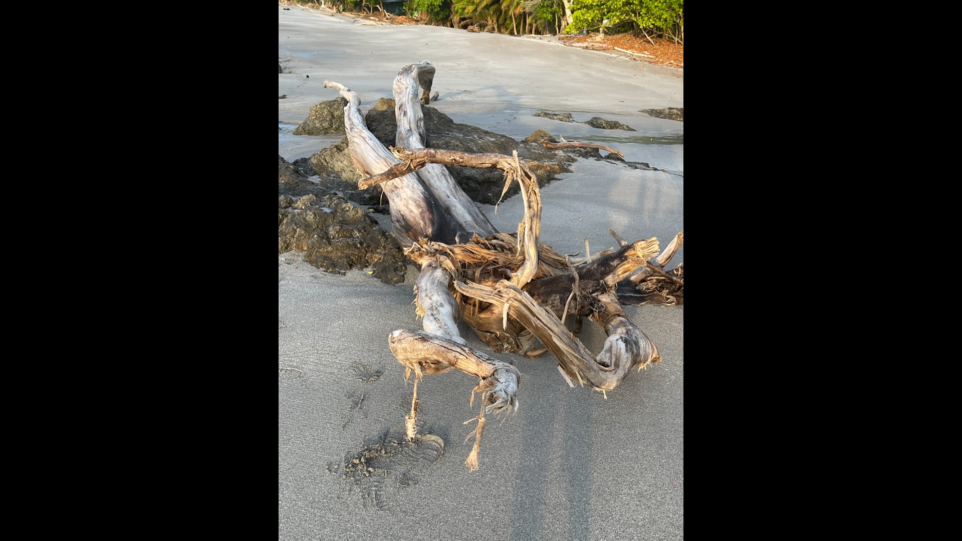 2023 August 21: Benefits of Resolve and Ordinary Moments of “Enlightenment”