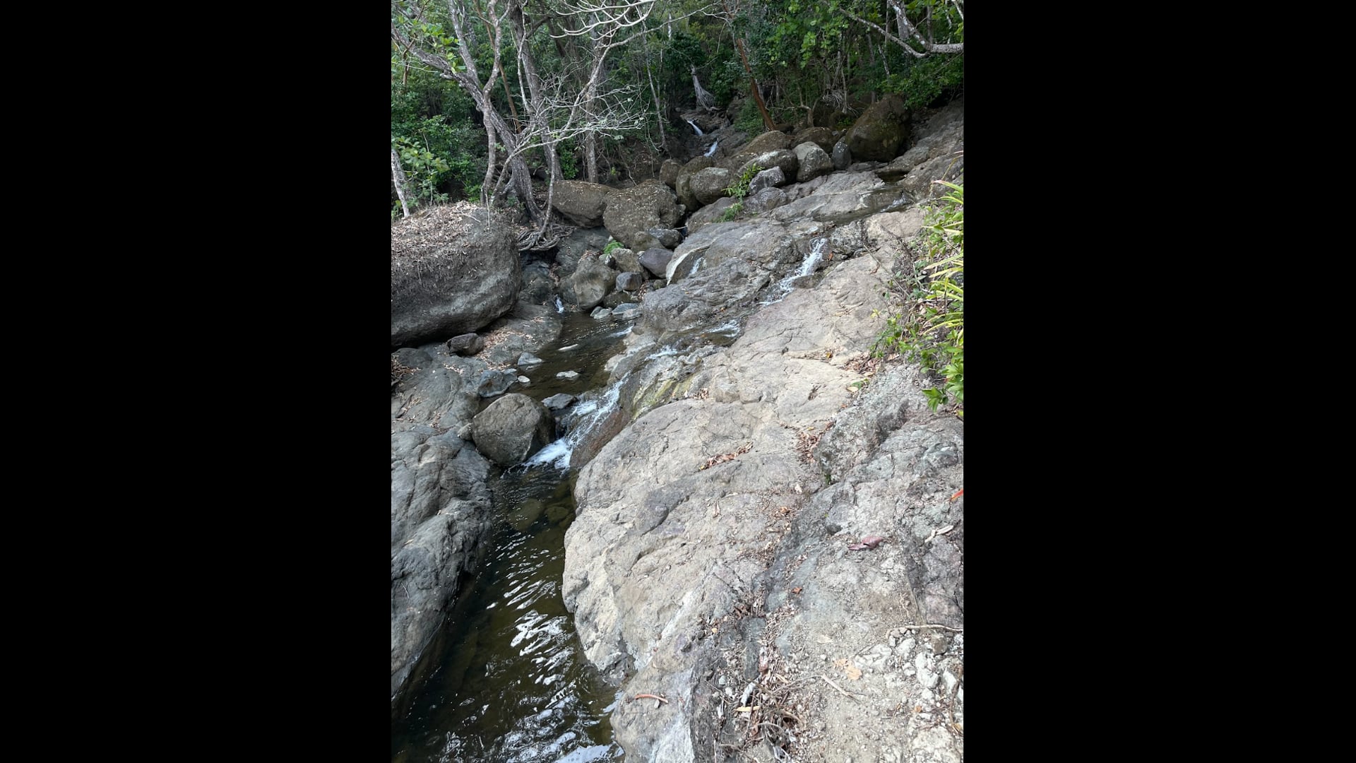 2023 August 23: The Parami of Resolve Invites us to Consider Our Intention in the Practice