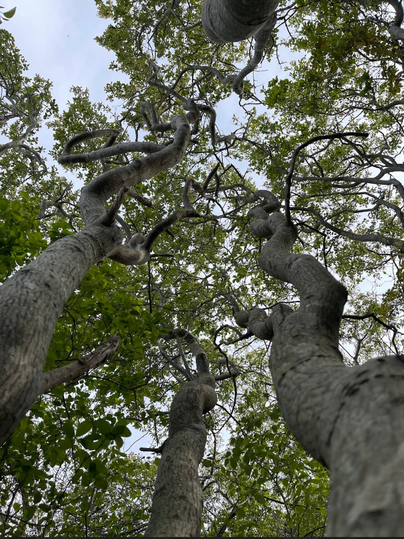 2023 August 30: Resolve to Take Care of Your Wellbeing