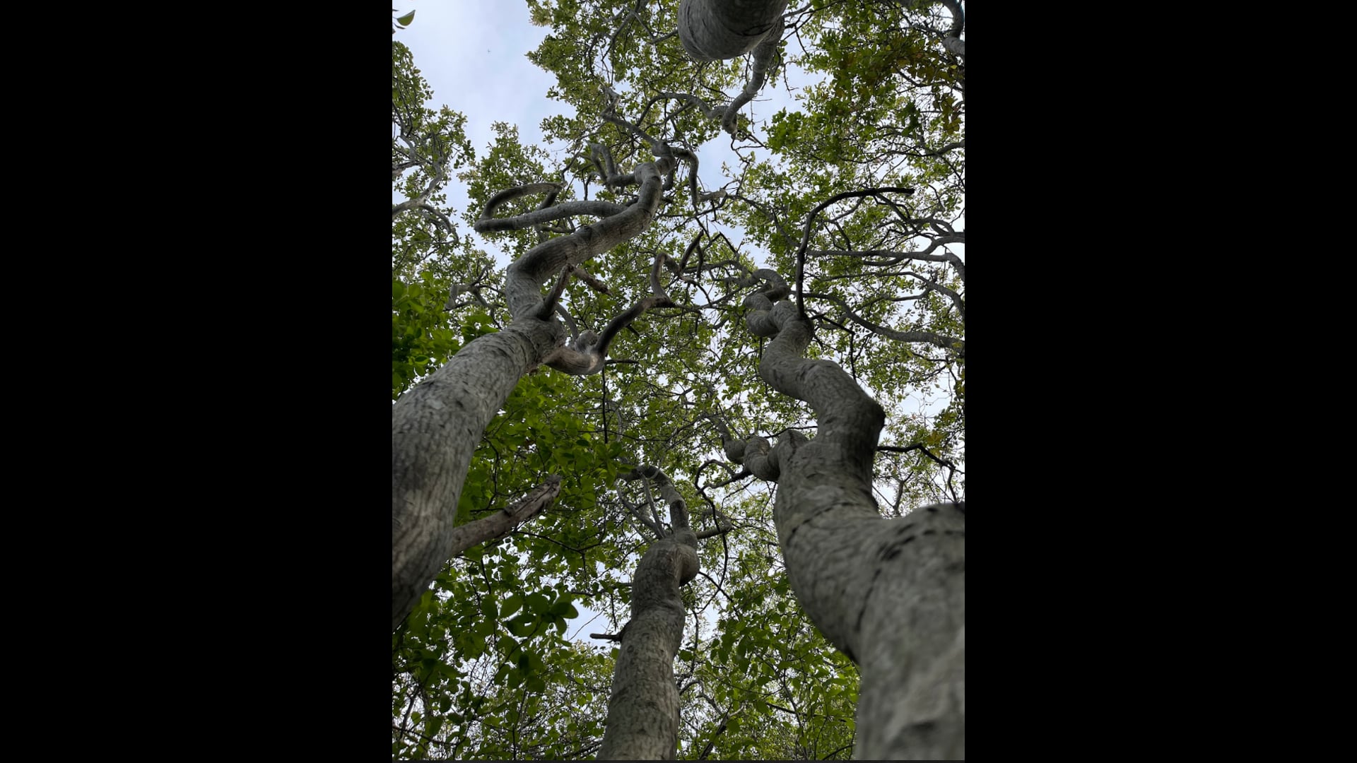 2023 August 30: Resolve to Take Care of Your Wellbeing