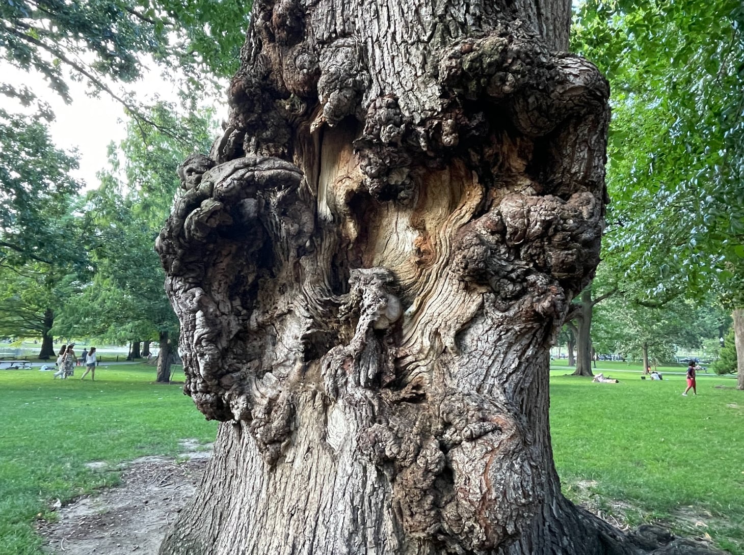 2023 August 29: Resolve to More Fully Inhabit the Present Moment