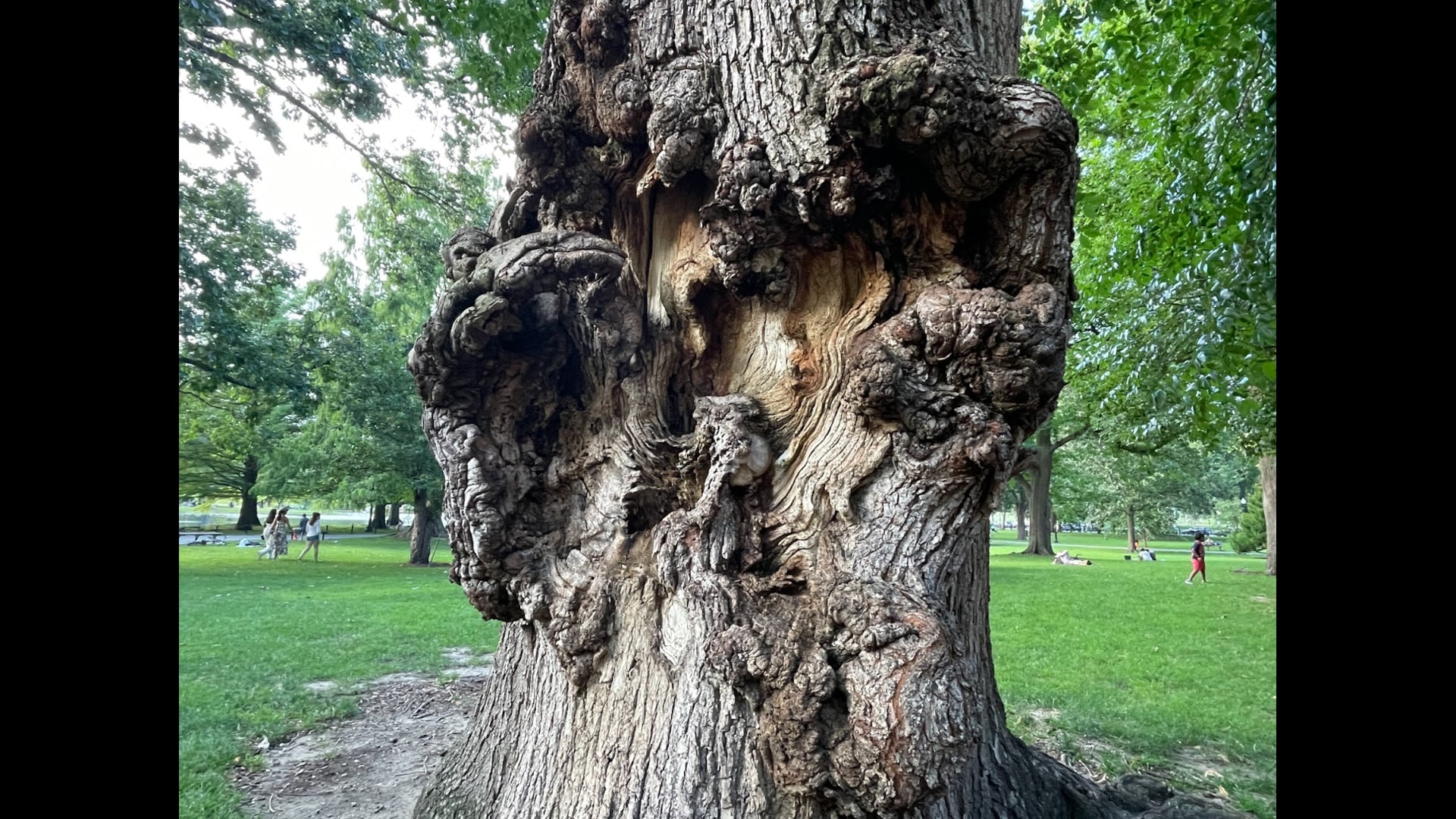 2023 August 29: Resolve to More Fully Inhabit the Present Moment