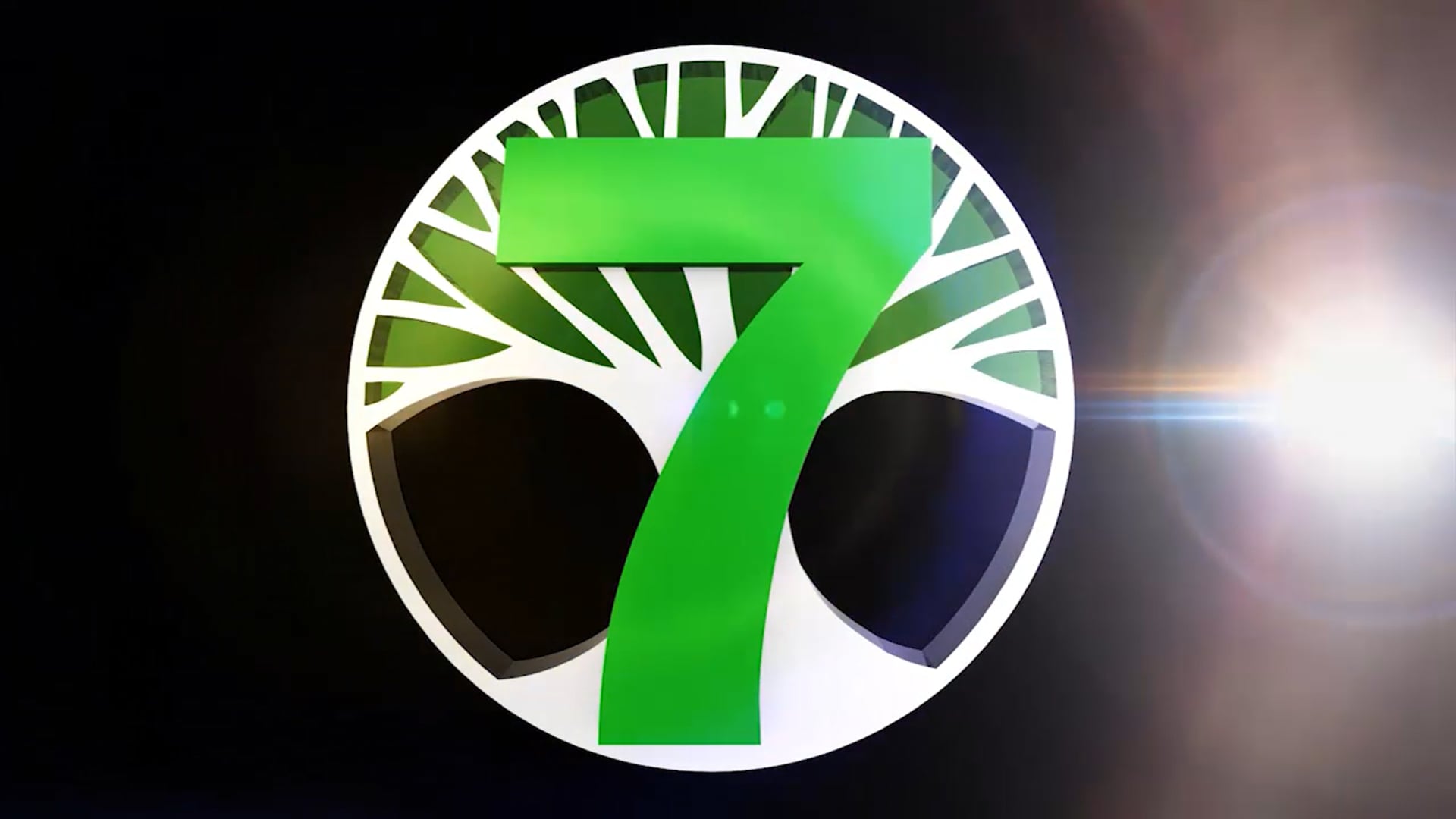 C7O-279 - 2018 Diwali Mela Celebration - Part 1