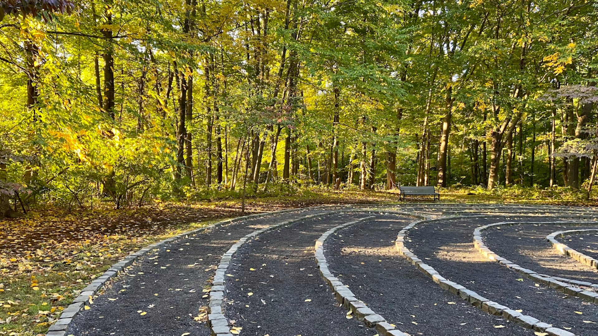 2023 September 06: Metta - The Buddha’s Words on Loving-Kindness