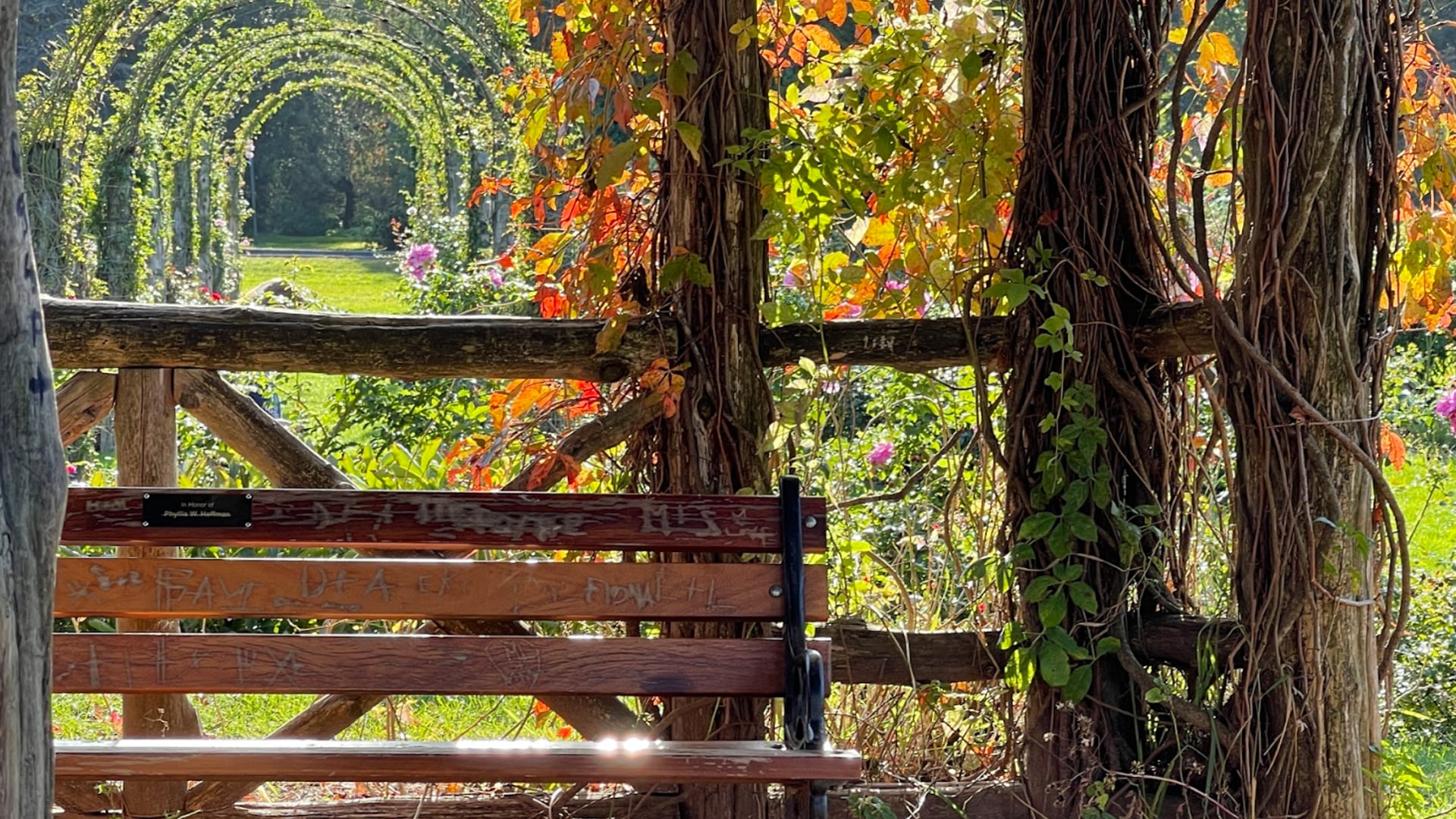 2023 September 11:  Metta…Relaxation as a Doorway to Metta