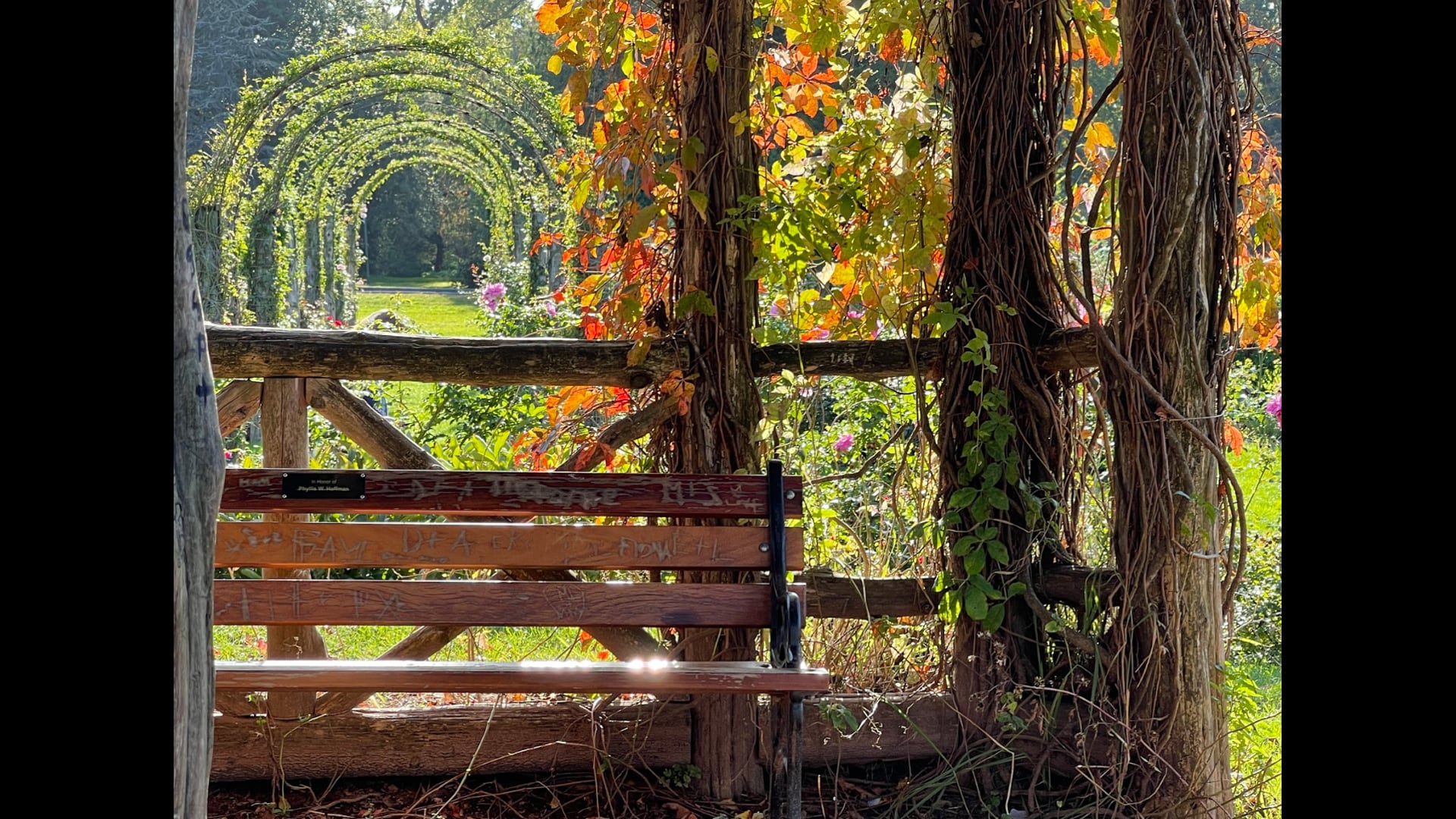 2023 September 11:  Metta…Relaxation as a Doorway to Metta