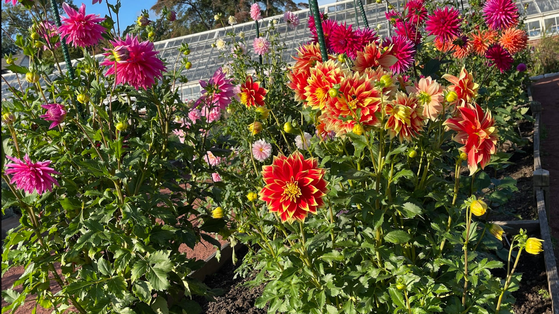 2023 September 13: Attending and Befriending