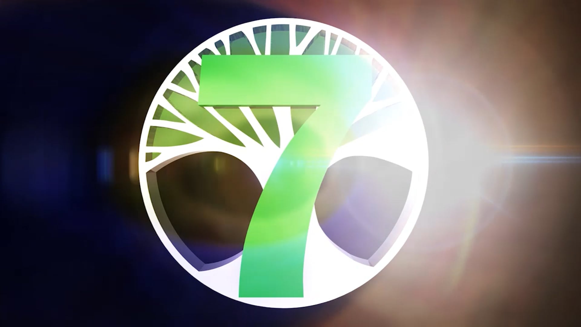 C7O-290 - 2019 Winter Dance Recital