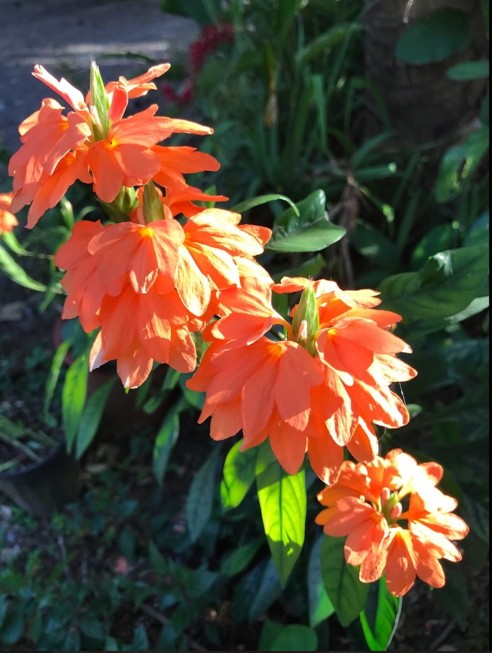 2023 September 20: Come Friends Contemplate the Body IN the Body