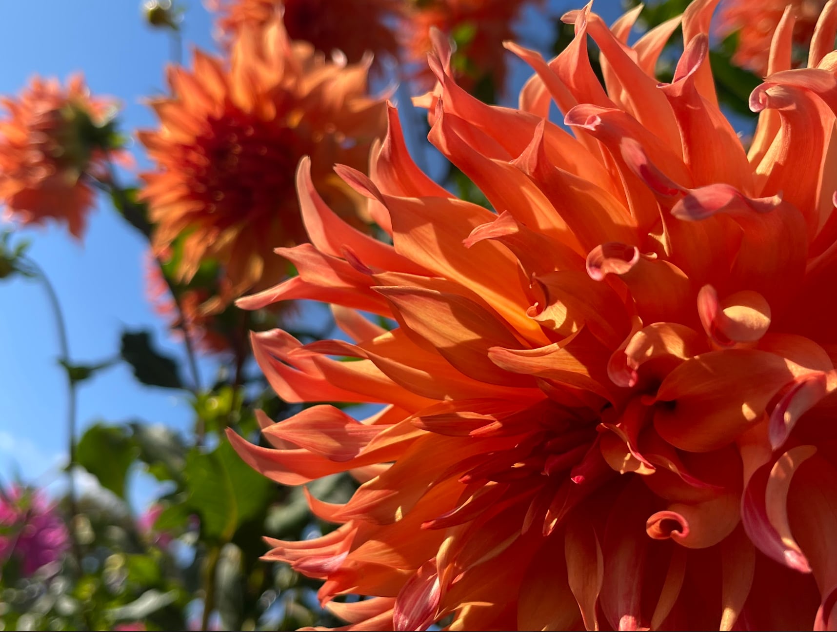 2023 September 27: Widening the Circle of Kindness