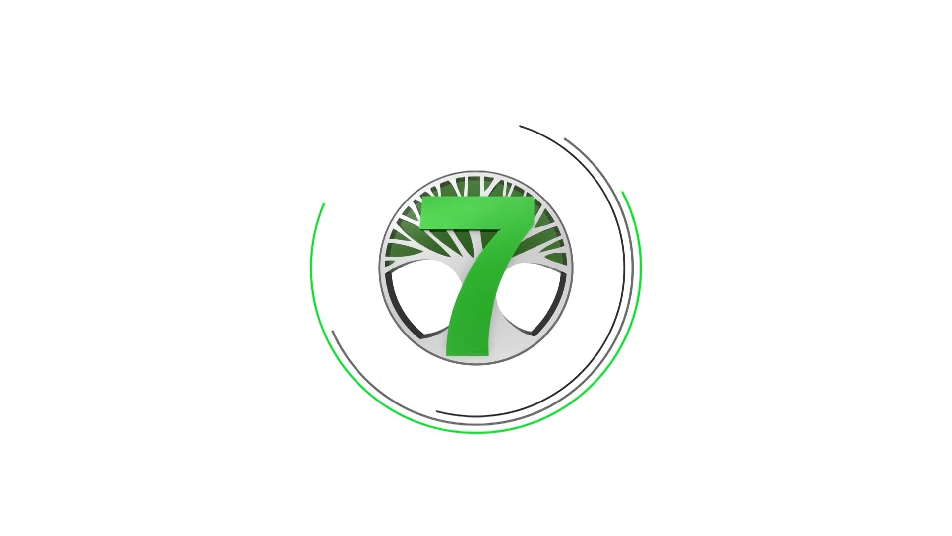 C7O-355 - 2019 Pep Rally - Maples Dabka Group