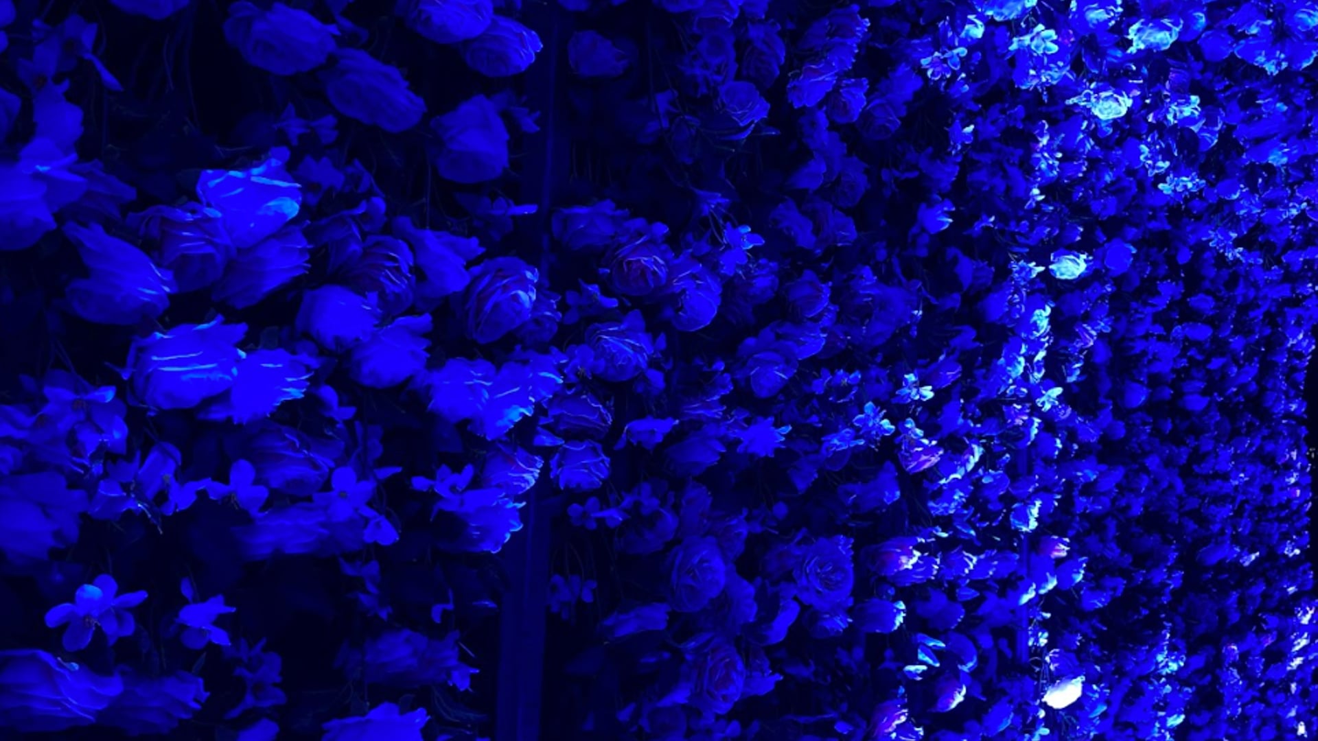 2023 December 11: The Art of Practicing Patience