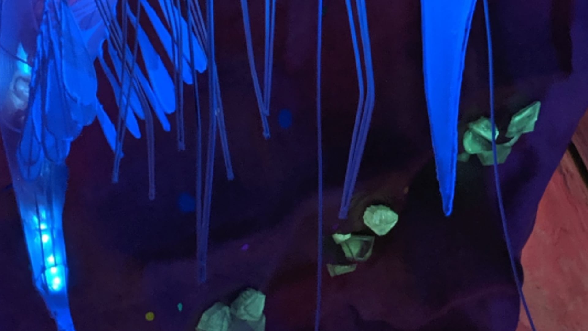 2023 December 20: Is Honesty Always the Best Policy