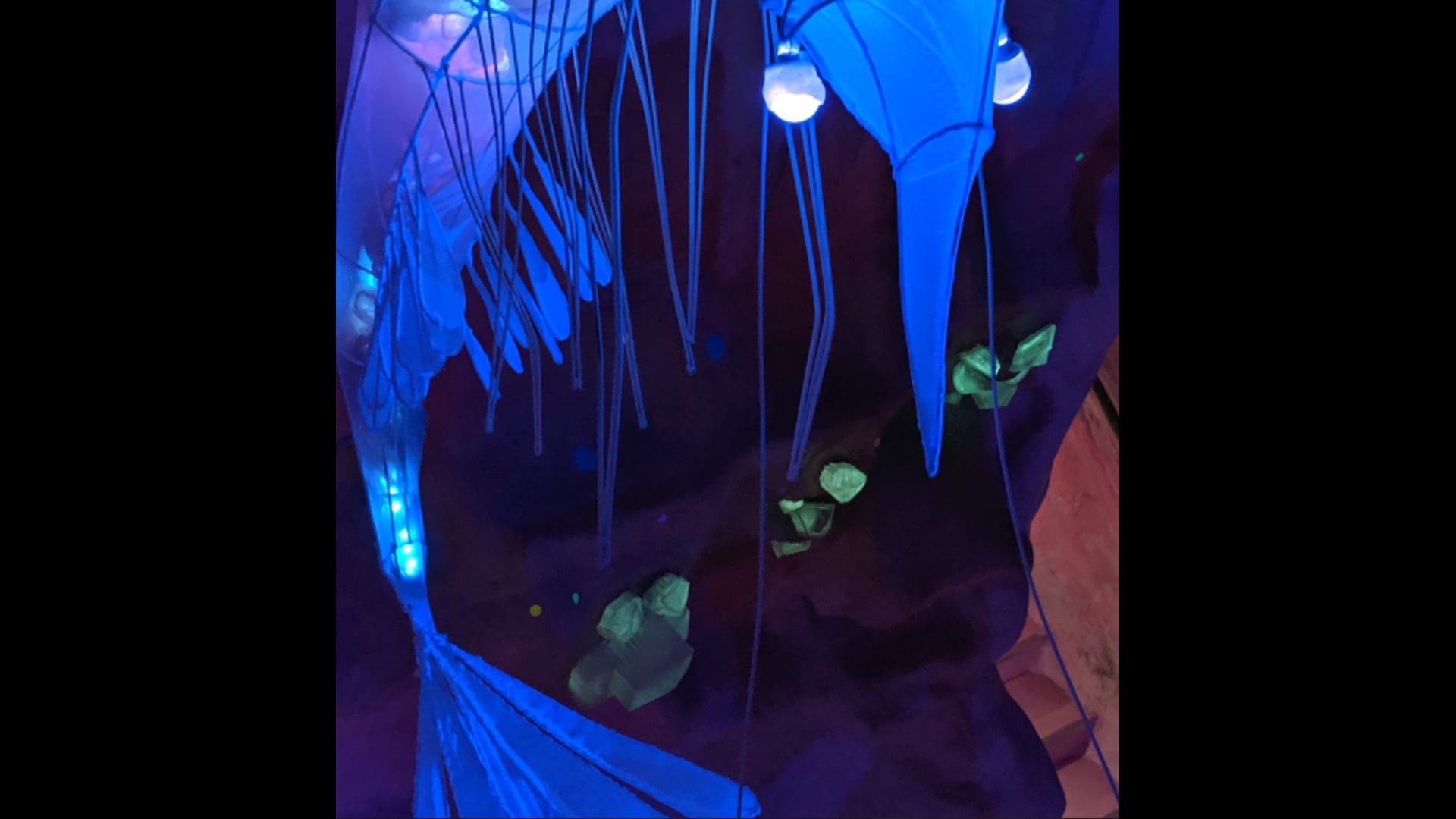 2023 December 20: Is Honesty Always the Best Policy