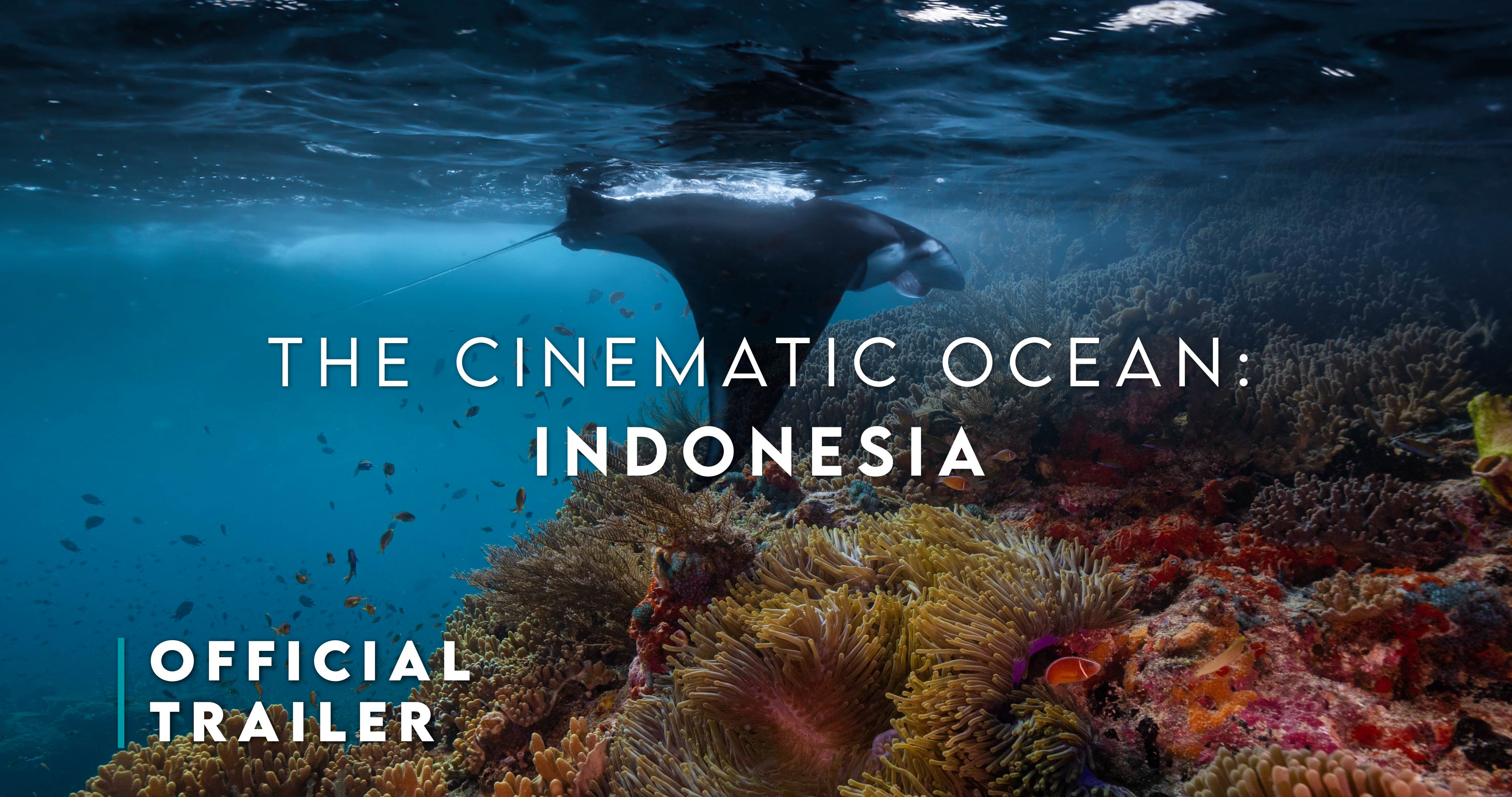 The Cinematic Ocean: Indonesia - Official Trailer