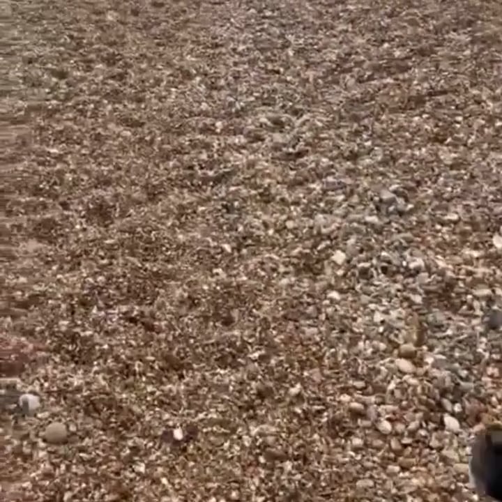 https://i.vimeocdn.com/video/1781175808-69d07c5bd17d7f27326a995fcd185b9abf53a95a4173692d714bd9d9eb53af70-d
