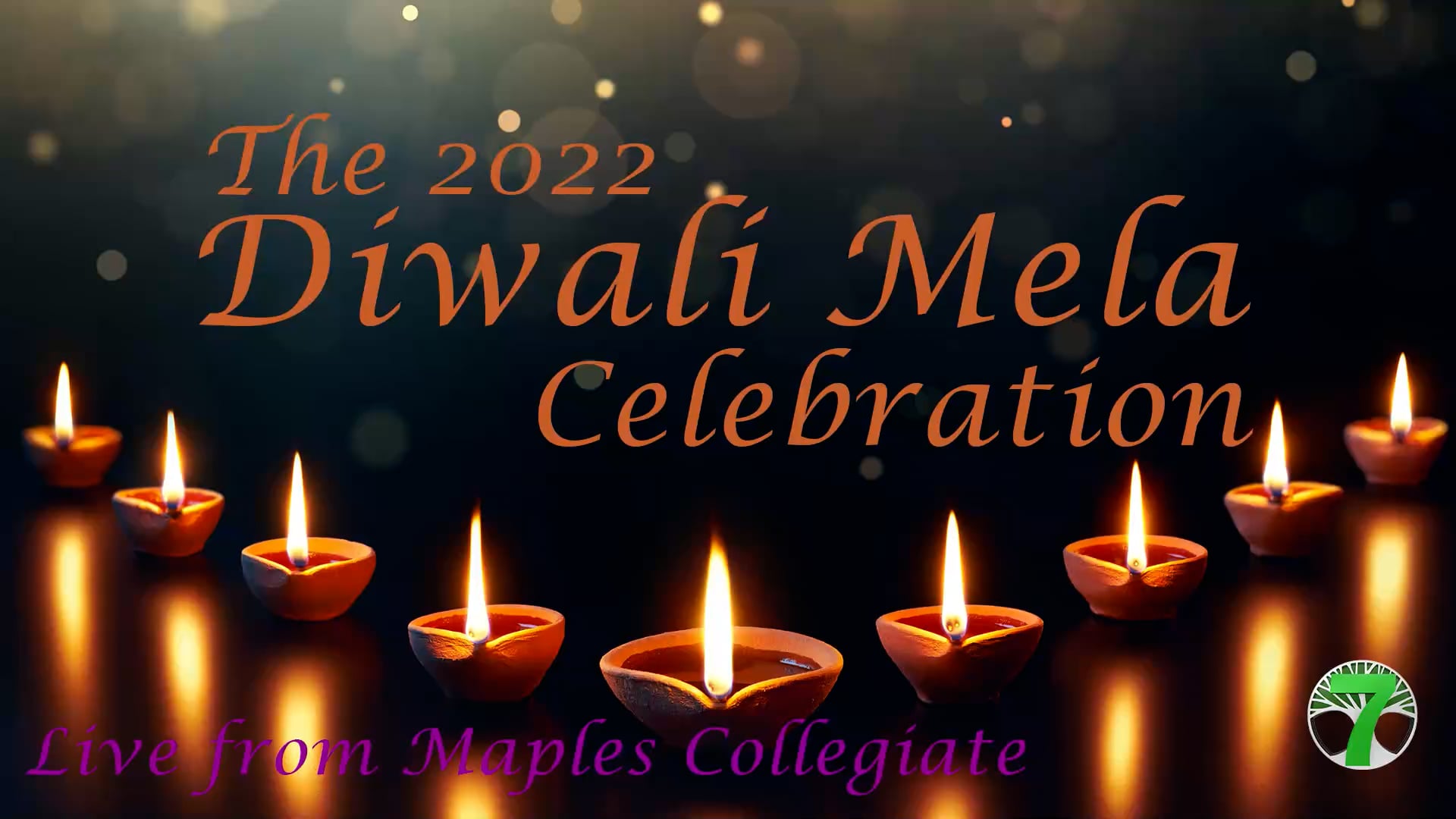 C7O-499 - The 2022 Diwali Mela Celebration, Single Camera