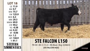 Lot #18 - STE FALCON L150
