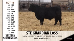 Lot #16 - STE GUARDIAN L055