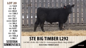 Lot #20 - STE BIG TIMBER L292