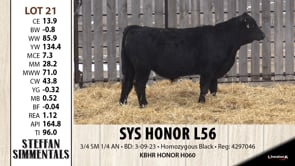 Lot #21 - SYS HONOR L56