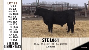 Lot #23 - STE L061