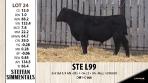 Lot #24 - STE L99