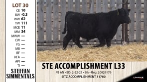 Lot #30 - STE ACCOMPLISHMENT L33