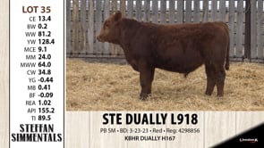 Lot #35 - STE DUALLY L918