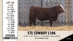 Lot #38 - STE COWBOY L106