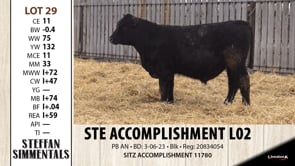 Lot #29 - STE ACCOMPLISHMENT L02