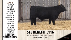 Lot #2 - STE BENEFIT L116
