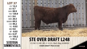 Lot #37 - STE OVER DRAFT L248