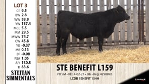 Lot #3 - STE BENEFIT L159