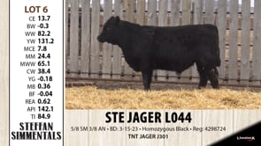 Lot #6 - STE JAGER L044