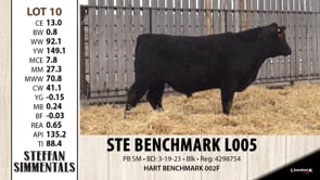 Lot #10 - STE BENCHMARK L005