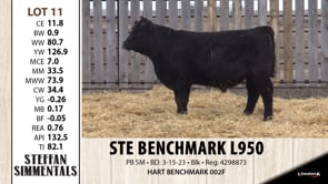 Lot #11 - STE BENCHMARK L950