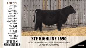Lot #13 - STE HIGHLINE L690