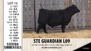 Lot #15 - STE GUARDIAN L09